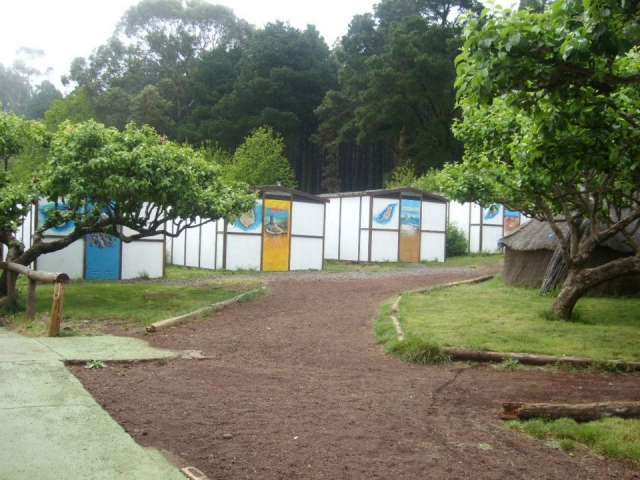Casetas en el bosque